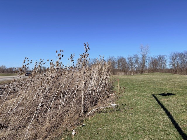  Trailhead property looking north