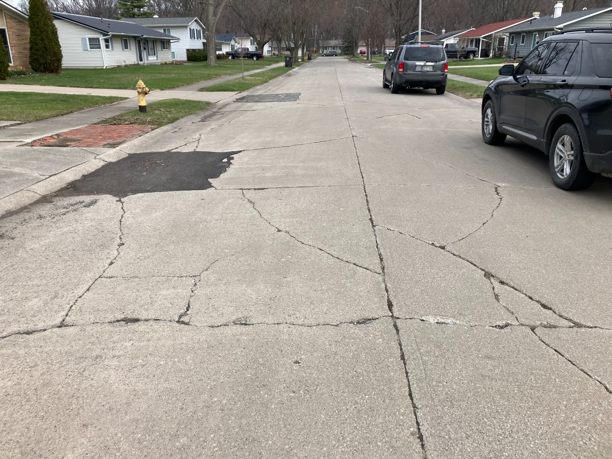 Pinedale Dr